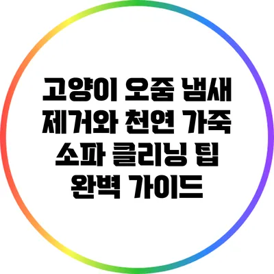 고양이 오줌 냄새 제거와 천연 가죽 소파 클리닝 팁 완벽 가이드