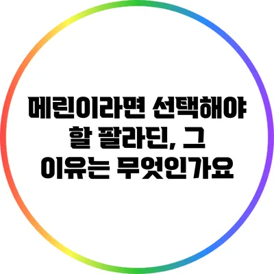 메린이라면 선택해야 할 팔라딘, 그 이유는 무엇인가요?