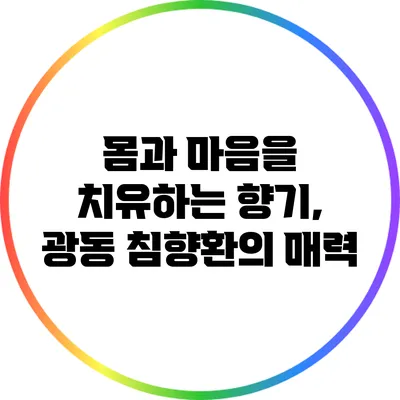 몸과 마음을 치유하는 향기, 광동 침향환의 매력