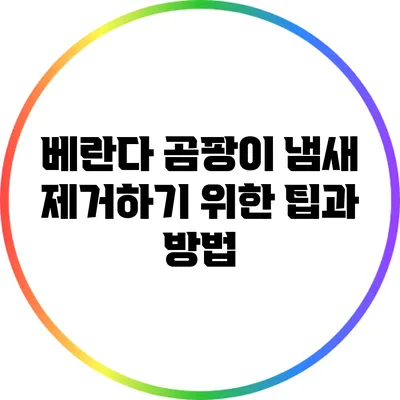 베란다 곰팡이 냄새 제거하기 위한 팁과 방법