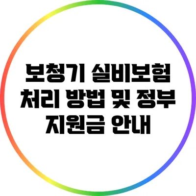 보청기 실비보험 처리 방법 및 정부 지원금 안내