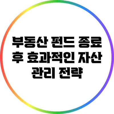 부동산 펀드 종료 후 효과적인 자산 관리 전략