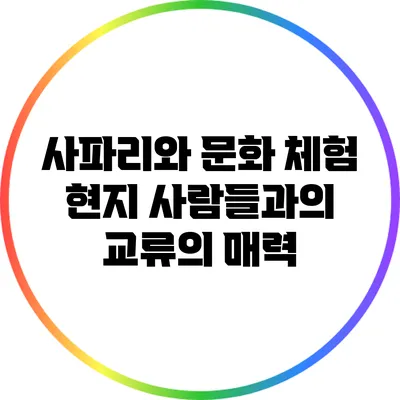 사파리와 문화 체험: 현지 사람들과의 교류의 매력