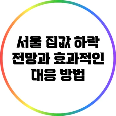 서울 집값 하락 전망과 효과적인 대응 방법