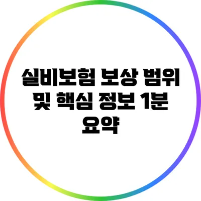 실비보험 보상 범위 및 핵심 정보 1분 요약