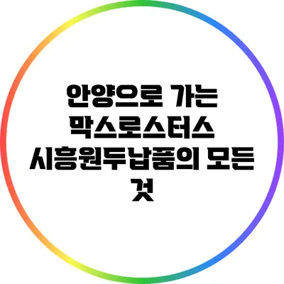 안양으로 가는 막스로스터스: 시흥원두납품의 모든 것