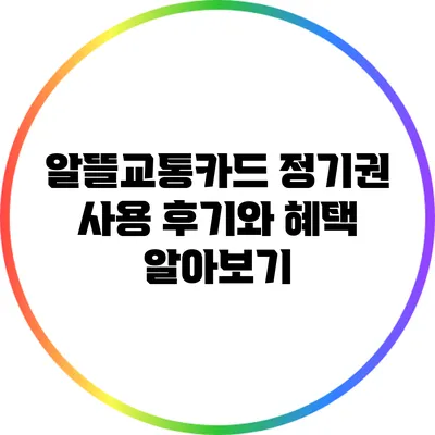 알뜰교통카드 정기권 사용 후기와 혜택 알아보기