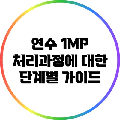 연수 1MP 처리과정에 대한 단계별 가이드