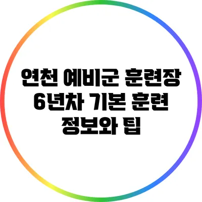연천 예비군 훈련장 6년차 기본 훈련 정보와 팁