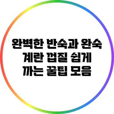 완벽한 반숙과 완숙 계란: 껍질 쉽게 까는 꿀팁 모음