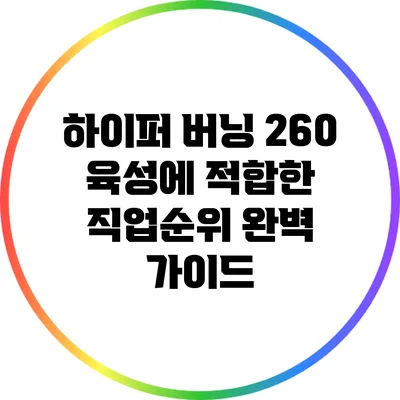 하이퍼 버닝 260 육성에 적합한 직업순위 완벽 가이드