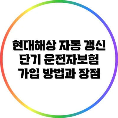 현대해상 자동 갱신 단기 운전자보험 가입 방법과 장점