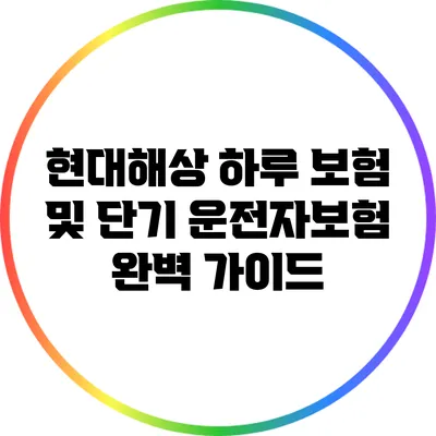 현대해상 하루 보험 및 단기 운전자보험 완벽 가이드