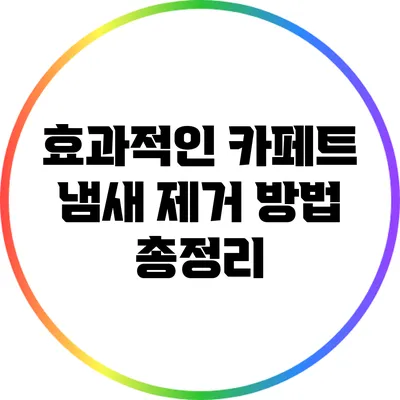 효과적인 카페트 냄새 제거 방법 총정리