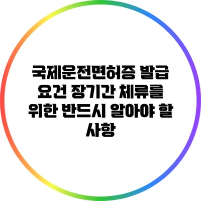 국제운전면허증 발급 요건: 장기간 체류를 위한 반드시 알아야 할 사항