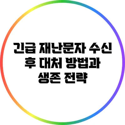긴급 재난문자 수신 후 대처 방법과 생존 전략