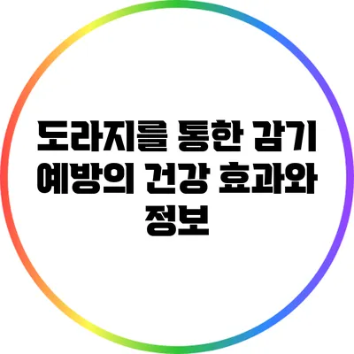 도라지를 통한 감기 예방의 건강 효과와 정보