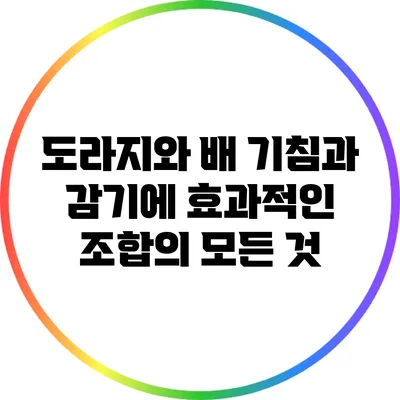 도라지와 배: 기침과 감기에 효과적인 조합의 모든 것