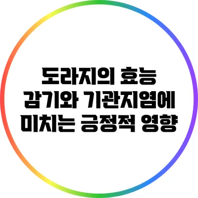 도라지의 효능: 감기와 기관지염에 미치는 긍정적 영향