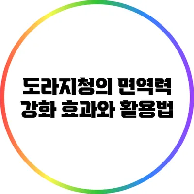 도라지청의 면역력 강화 효과와 활용법