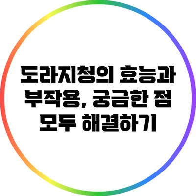도라지청의 효능과 부작용, 궁금한 점 모두 해결하기