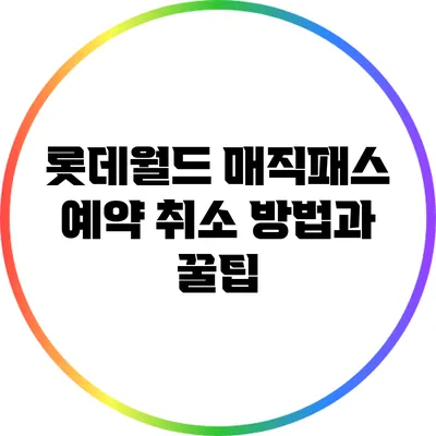 롯데월드 매직패스 예약 취소 방법과 꿀팁
