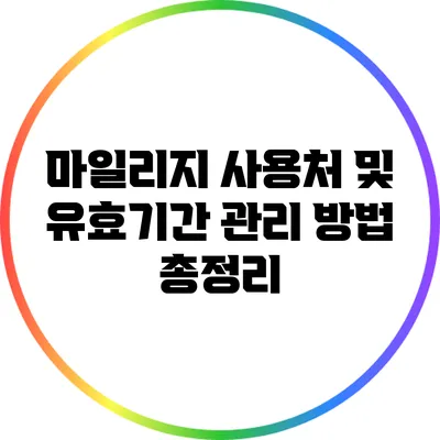 마일리지 사용처 및 유효기간 관리 방법 총정리