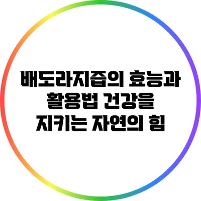 배도라지즙의 효능과 활용법: 건강을 지키는 자연의 힘