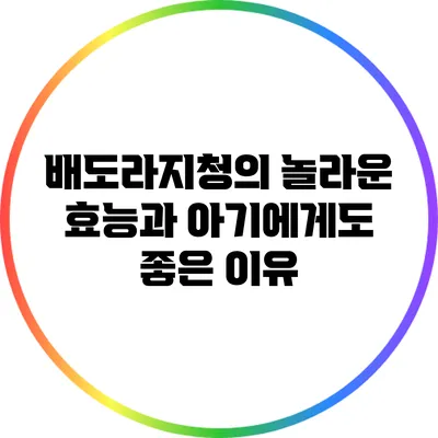 배도라지청의 놀라운 효능과 아기에게도 좋은 이유