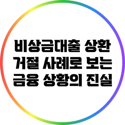 비상금대출 상환 거절 사례로 보는 금융 상황의 진실