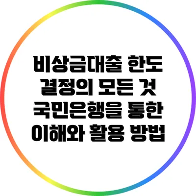 비상금대출 한도 결정의 모든 것: 국민은행을 통한 이해와 활용 방법