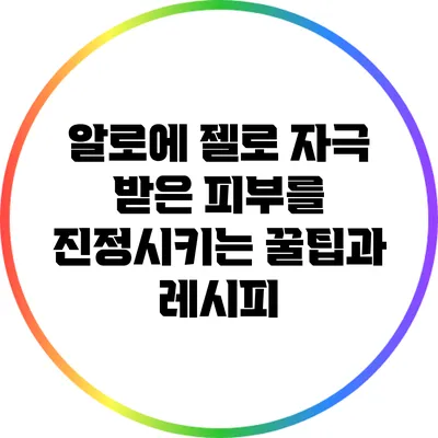 알로에 젤로 자극 받은 피부를 진정시키는 꿀팁과 레시피