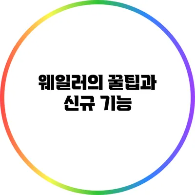 웨일러의 꿀팁과 신규 기능