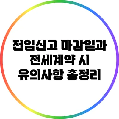 전입신고 마감일과 전세계약 시 유의사항 총정리