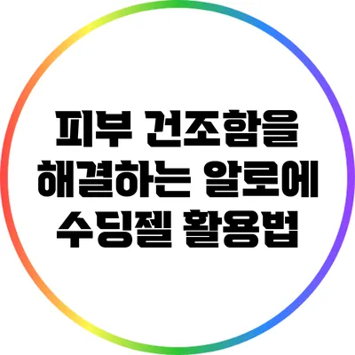 피부 건조함을 해결하는 알로에 수딩젤 활용법