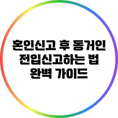 혼인신고 후 동거인 전입신고하는 법 완벽 가이드