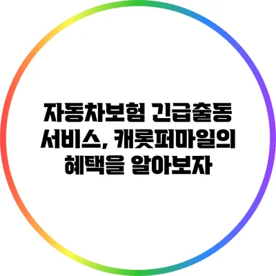 자동차보험 긴급출동 서비스, 캐롯퍼마일의 혜택을 알아보자