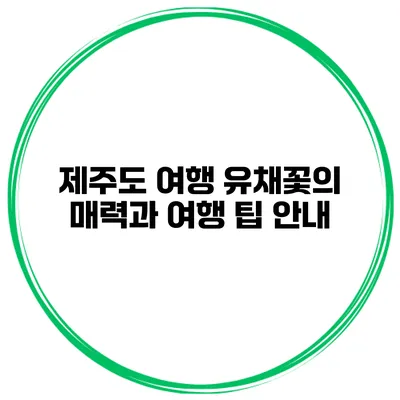 제주도 여행 유채꽃의 매력과 여행 팁 안내
