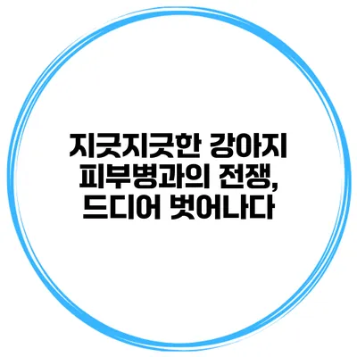 지긋지긋한 강아지 피부병과의 전쟁, 드디어 벗어나다