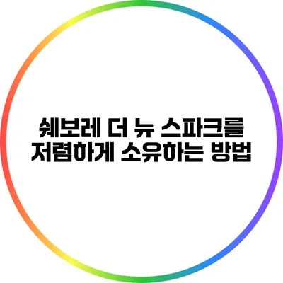 쉐보레 더 뉴 스파크를 저렴하게 소유하는 방법